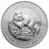 Silver Canadian Arctic Fox coin